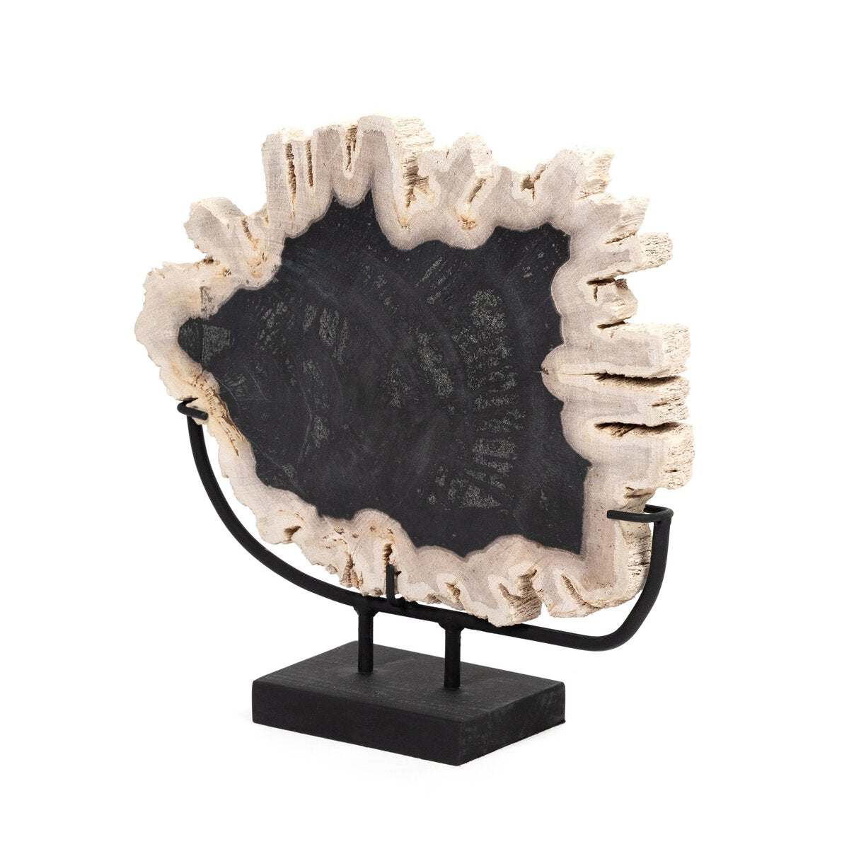 Petrified Wood Sculpture on Stand